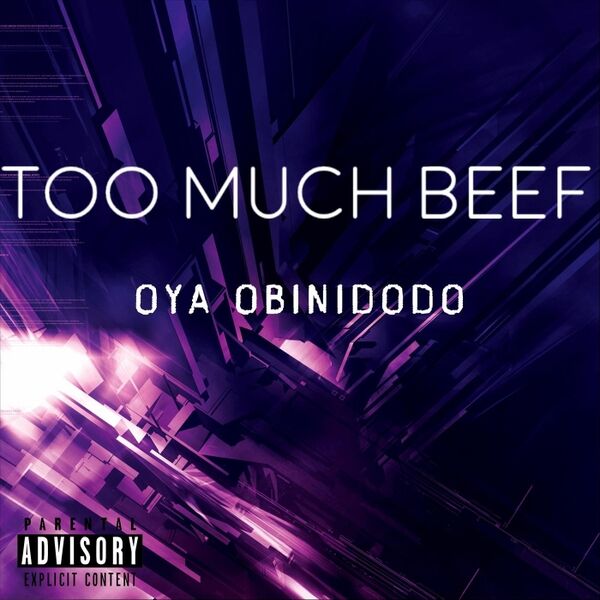 Cover art for Too Much Beef
